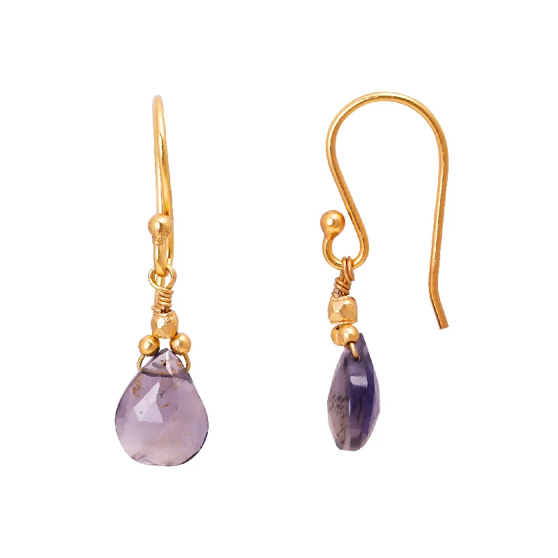 Classic claw drop earrings securing gems with elegance -Iolite Drop Earrings