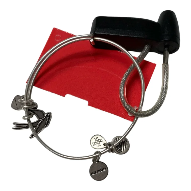 Bold ruby bangles adding fiery red accents -Bracelet Charm By Alex And Ani