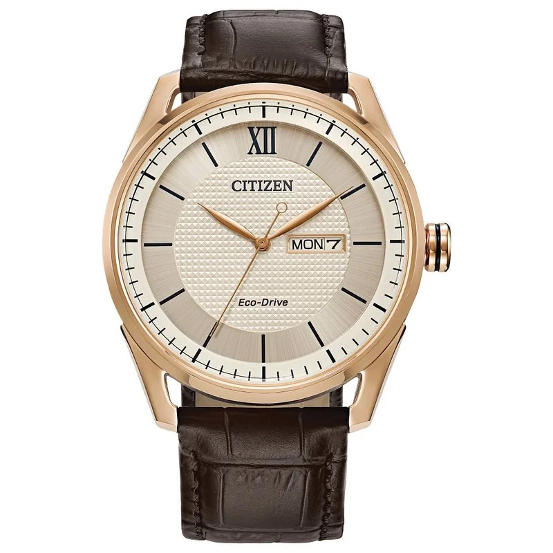 Stylish men's watches with mesh straps and minimalist designs for a contemporary, urban look -Citizen Eco-Drive Classic Dress Men's Watch